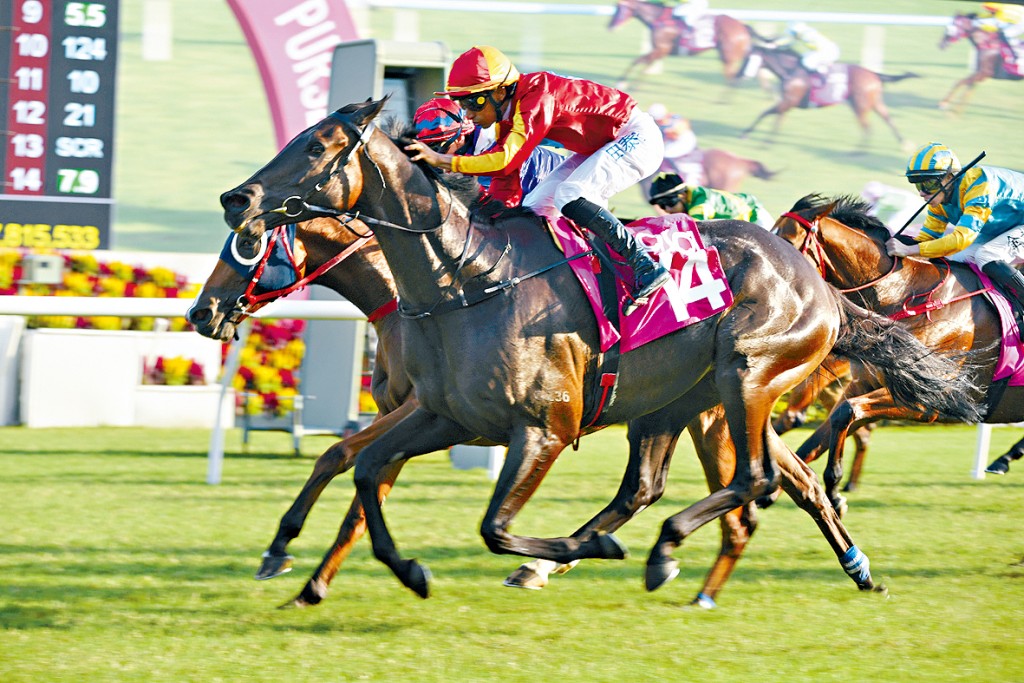 「安遇」再度奪冠。