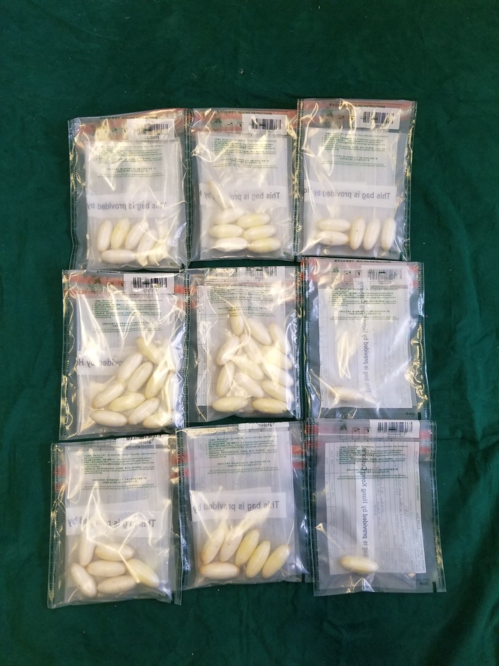 政府新聞處圖片