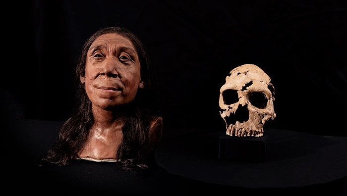 7.5万前古人类头骨Shanidar Z复原。 剑桥大学图片