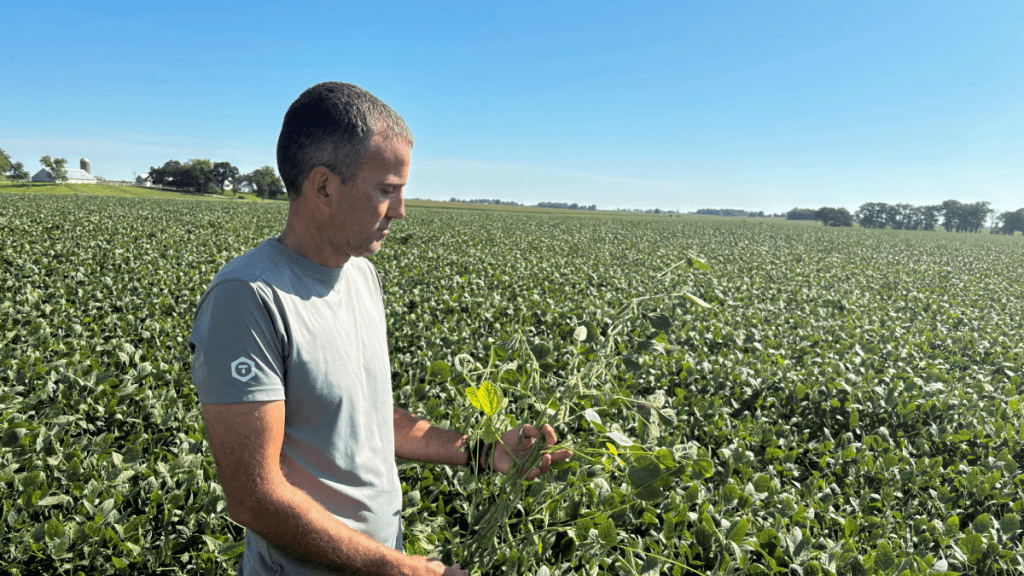 受關稅戰影響，許多美國農民損失慘重。路透社