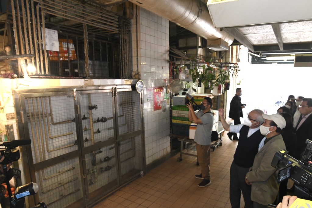 鄭泳舜指大成街街市3個月內消滅700隻老鼠，說明鼠患嚴重性。禇樂祺攝
