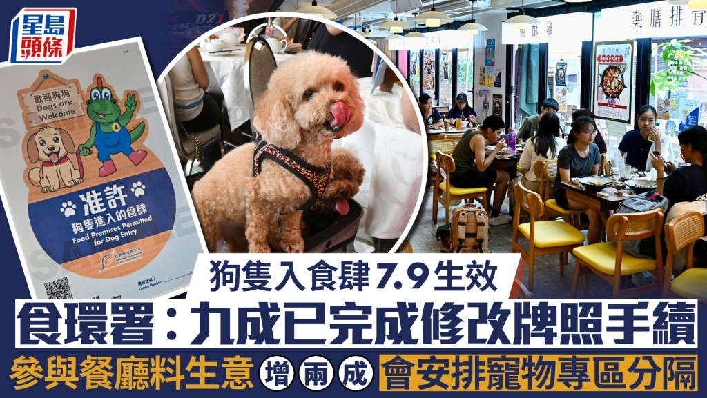 狗隻入食肆︱食環署：九成已完成修改牌照手續 參與餐廳料生意增兩成 會安排寵物專區分隔
