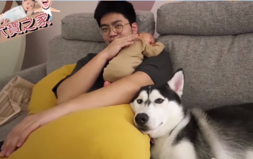 陈彦婷丈夫帮手哄BB瞓觉。fb