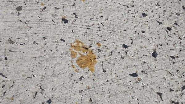 被六价铬污染的野猫在电镀厂地下留下黄色脚印。