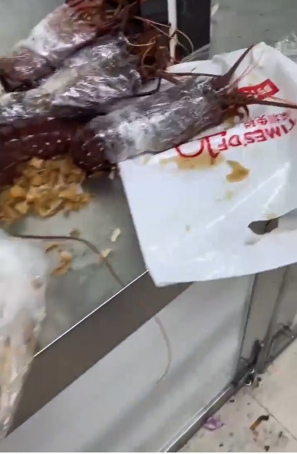 龍蝦明顯被紮好準備運過深圳羅湖邊境。(影片截圖)