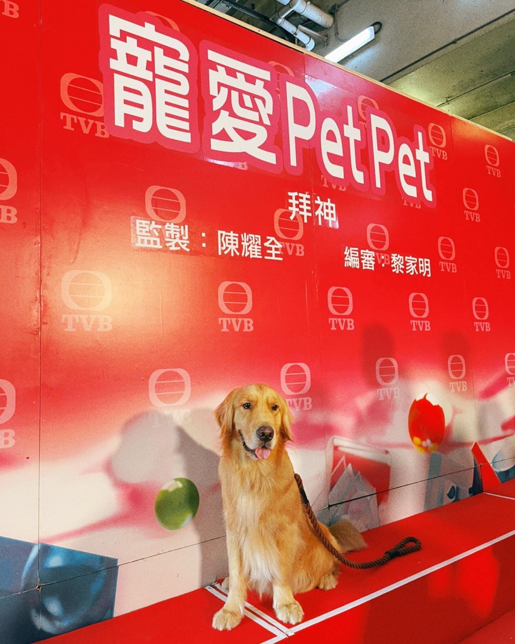 「冬甩」早前更於TVB劇集《寵愛Pet Pet》中做「男主角」Romeo。