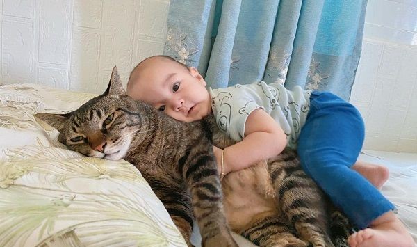 猫保母被弟弟抱住放弃挣扎。