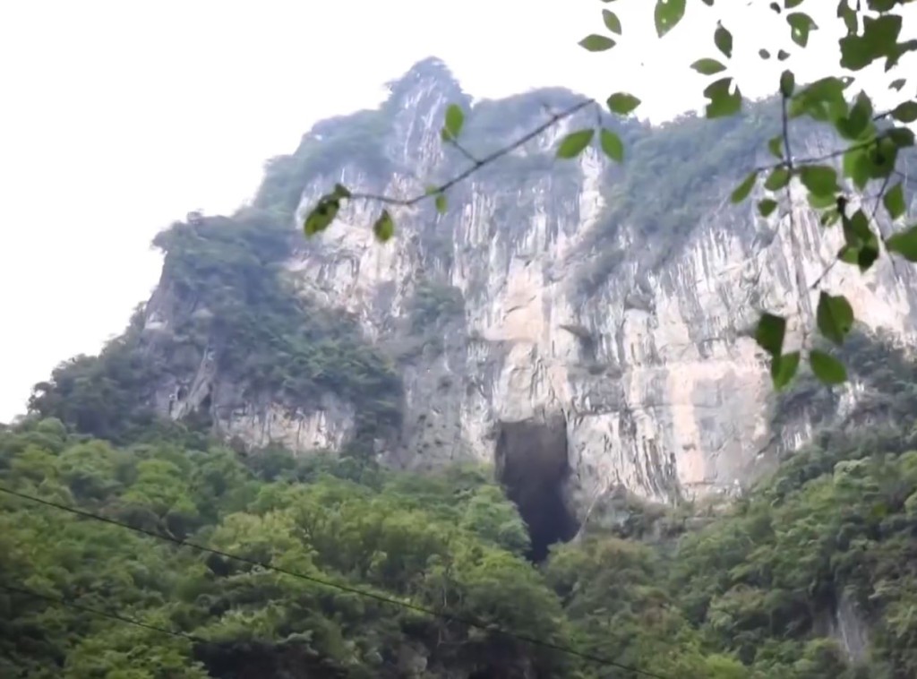 重庆五里坡国家级自然保护区。
