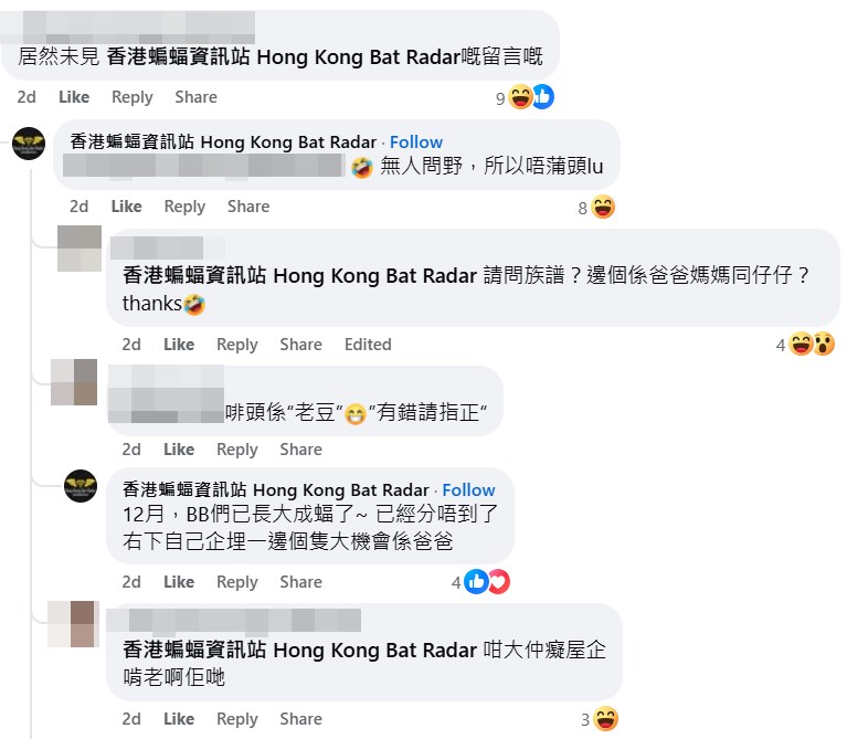 「香港蝙蝠资讯站」回应提问。fb「香港自然生态论坛」截图