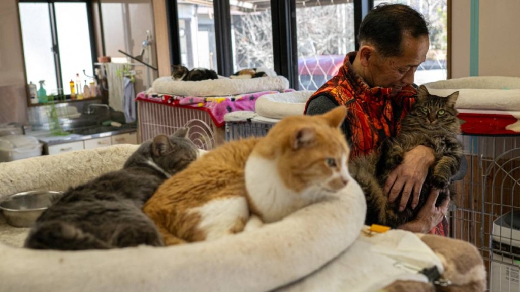 赤間徹立志餘生照顧災區被遺棄寵物。法新社