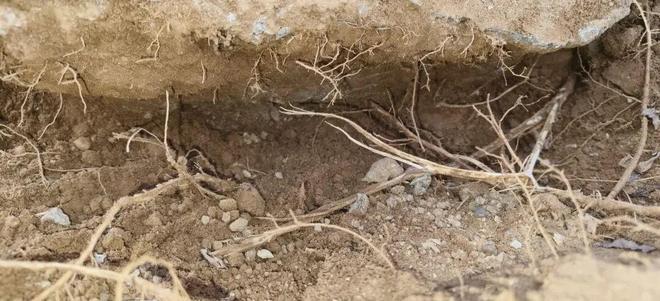 國家級基建出現「豆腐渣」工程，或嚴重影響安全。羊城晚報