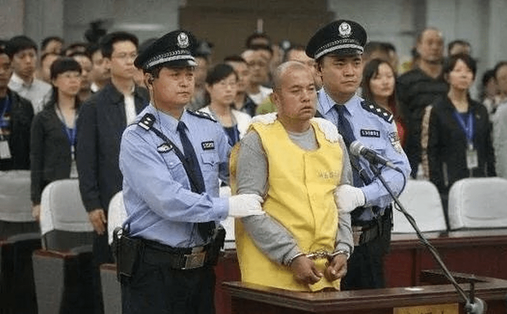 2007年王書金以未起訴他在石家莊西郊粟米田姦殺案等為由，向河北省高級人民法院提出上訴。