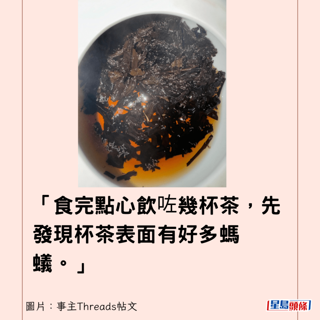 「食完點心飲咗幾杯茶，先發現杯茶表面有好多螞蟻。」