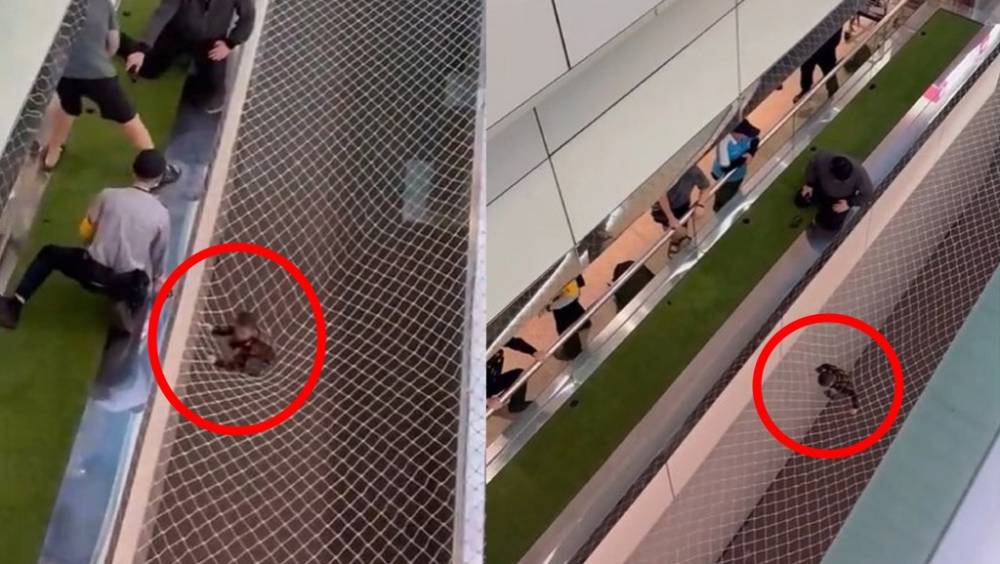 桃園機場第二航廈，網友在手扶梯旁，驚見一名幼童掉落在安全網上，影片上傳社交平台，引發網友熱議。 爆料公社