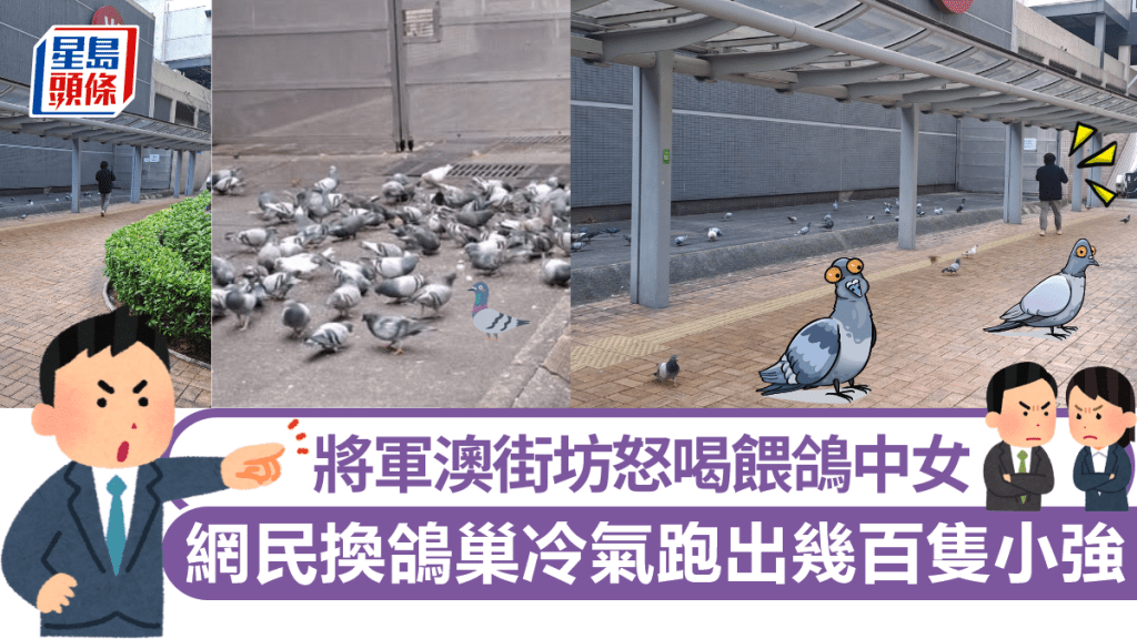 將軍澳街坊怒喝餵鴿中女 網民換鴿巢冷氣跑出幾百隻小強