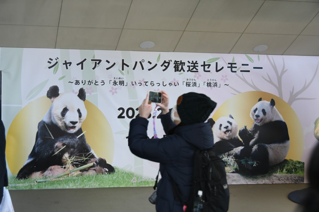 2月21日，在日本和歌山縣白浜町的「冒險世界」樂園，遊客送別大熊貓。 新華社