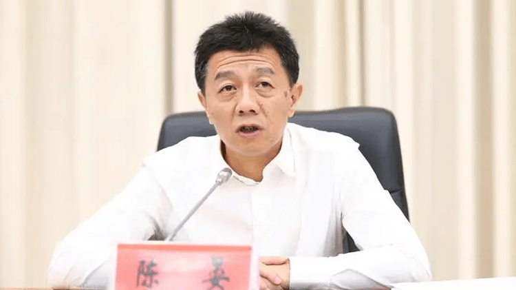 貴州省政協副主席陳晏。