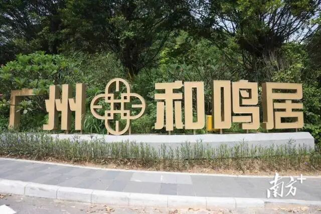 廣州最大爛尾盤澳洲山莊的安置房「和鳴居」終於落成。南方＋