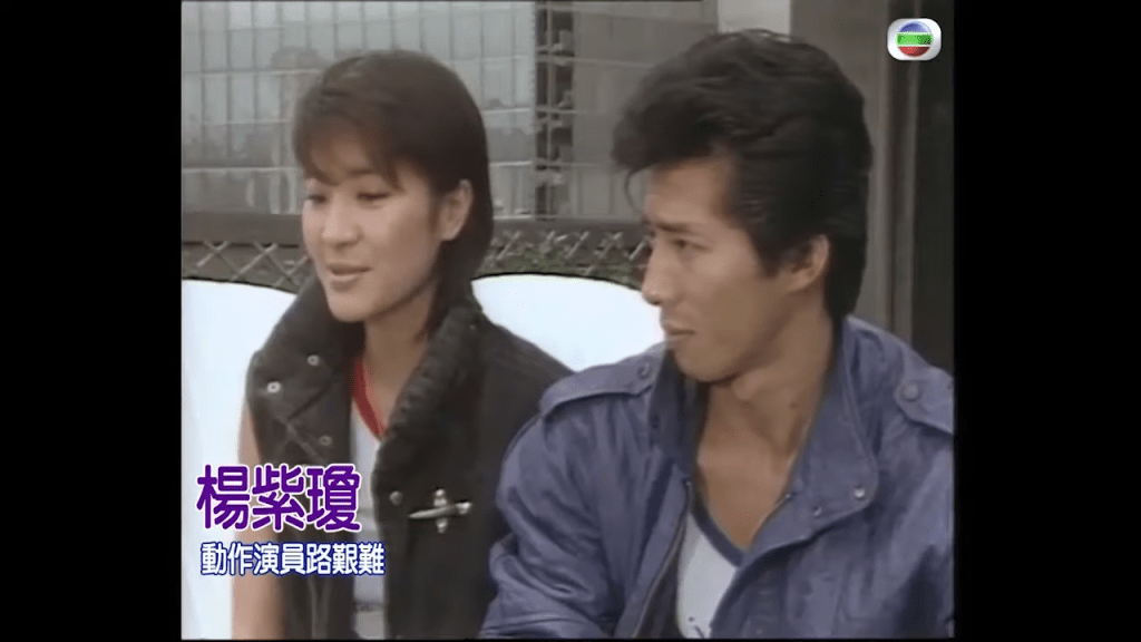 楊紫瓊已在90年代已經成為武打女星。