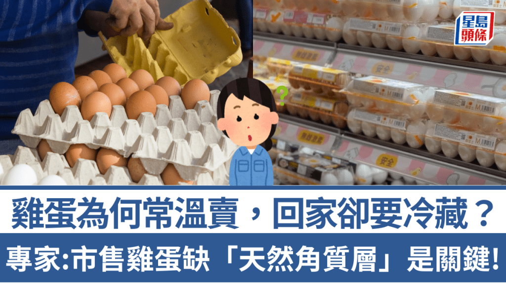 雞蛋為何常溫賣，回家卻要冷藏？專家：市售雞蛋缺「天然角質層」是關鍵！