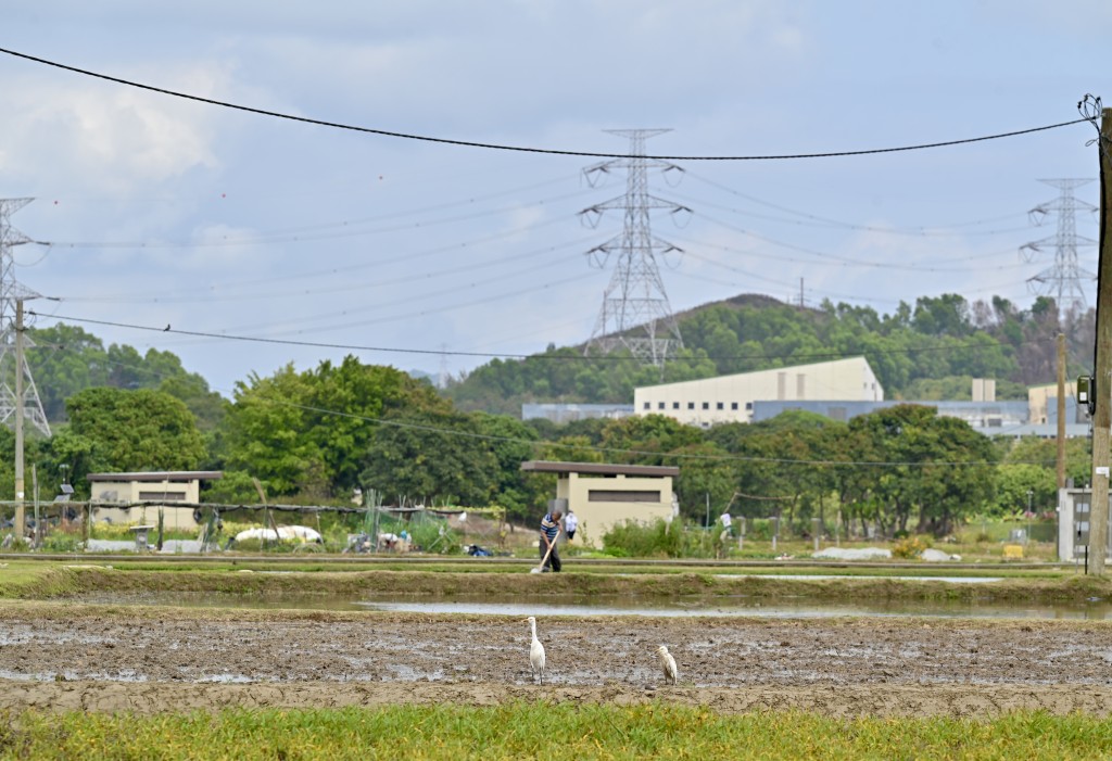 新田科技城分區大綱草圖獲行政長官及行會核准。資料圖片