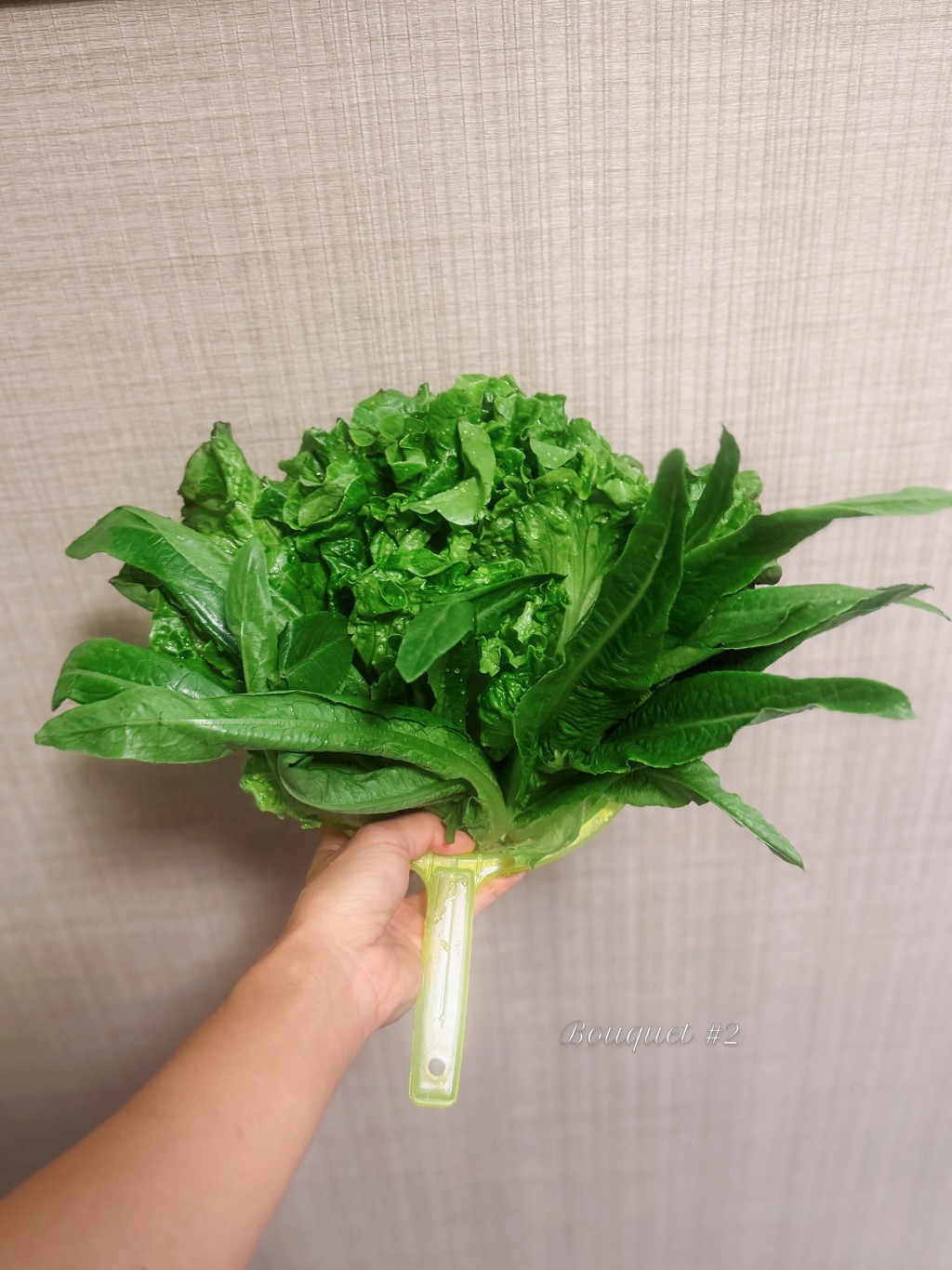 黃心穎手持生菜，留言是老公「泥鯭」黎萬宏送的第二束花。