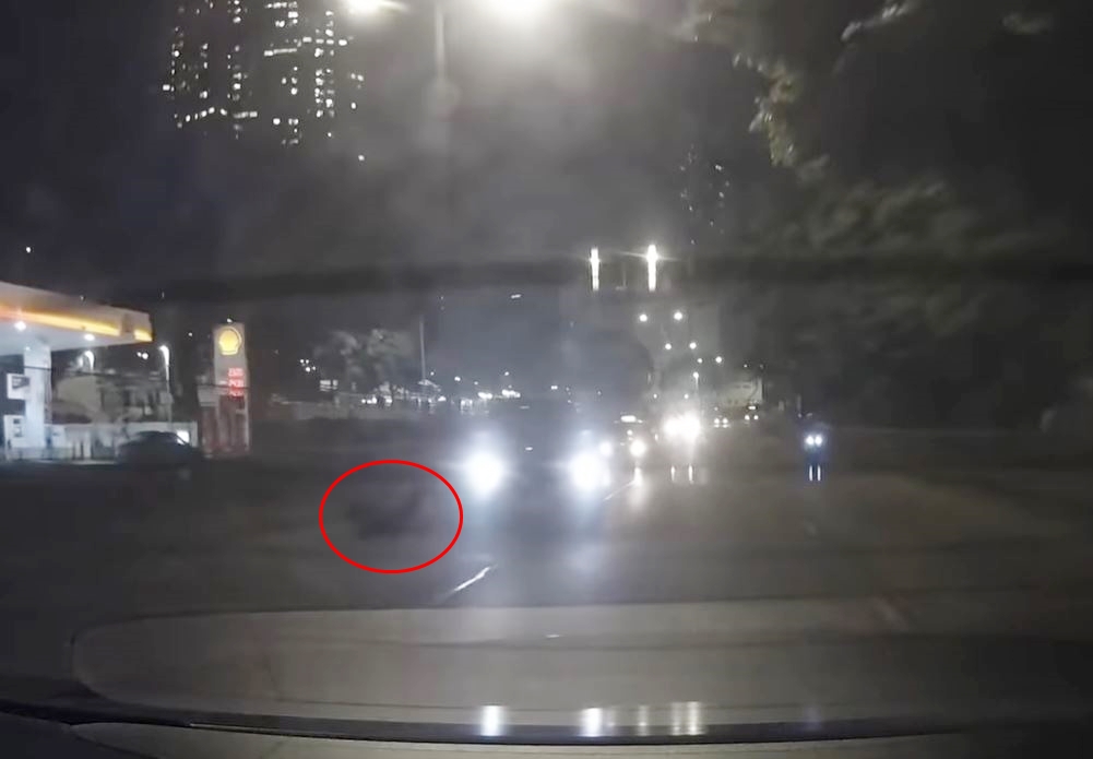 少年捱车撞后倒地。fb车cam L（香港群组）影片截图