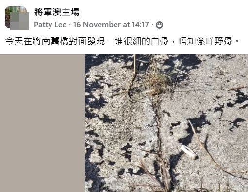 facebook截圖（資料來源：Patty Lee＠facebook將軍澳主場）