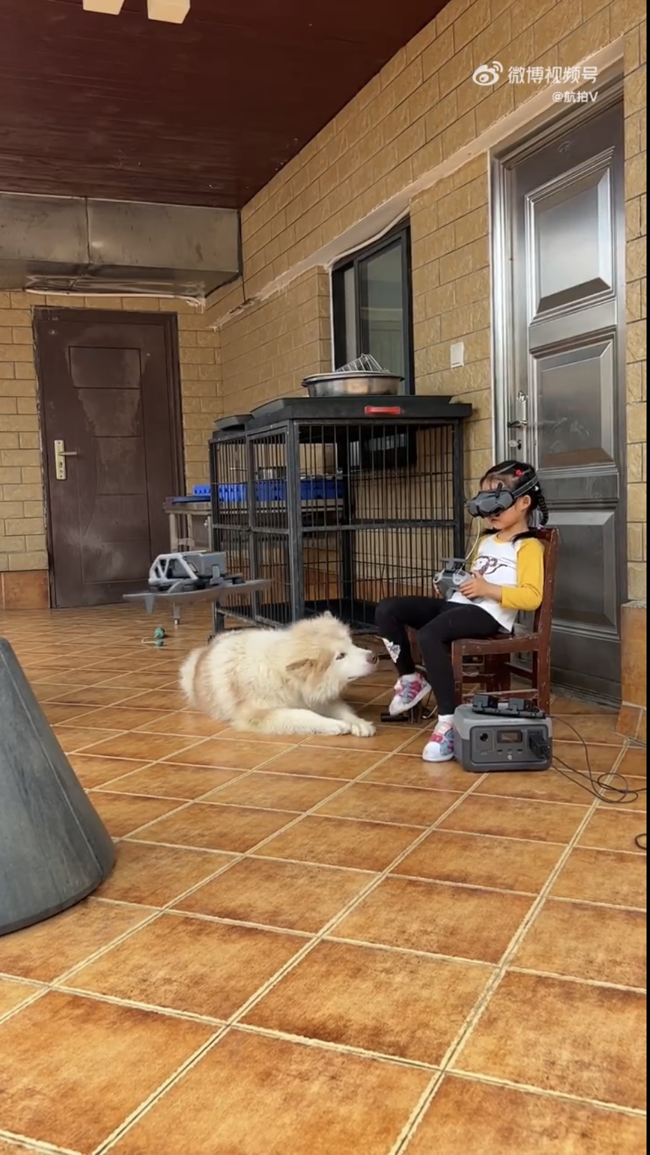 萌萌在爱犬陪伴下练习无人机操作。