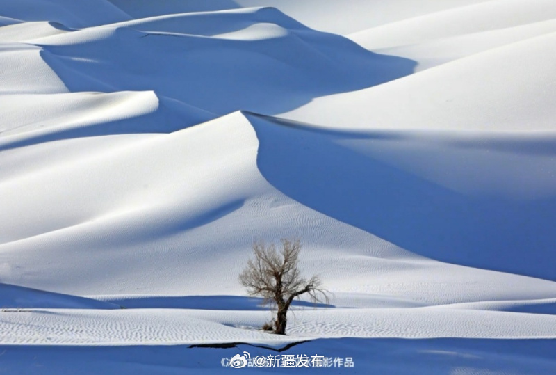 雪后沙漠美景如梦。