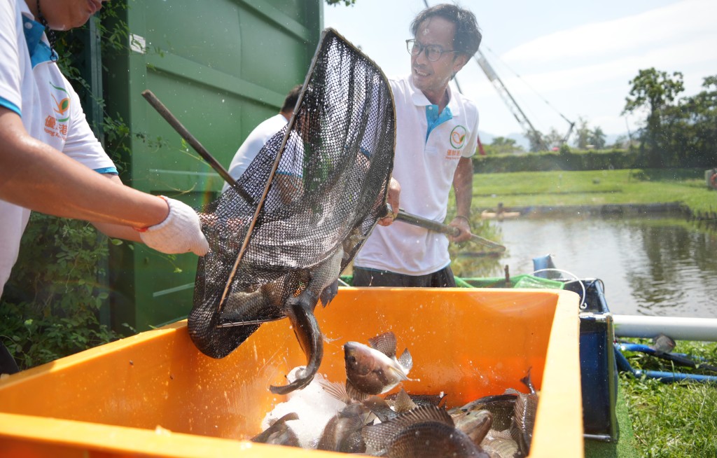 漁護署指，養殖系統以少量土地達到傳統魚塘的產能。吳艷玲攝