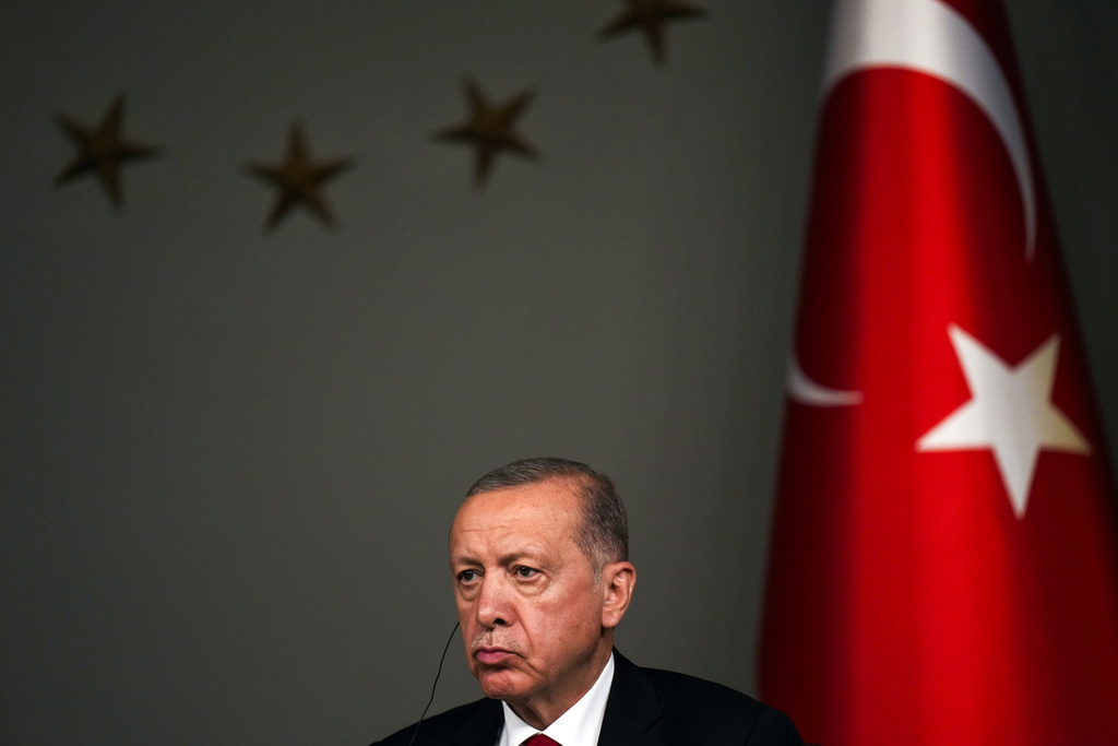 土耳其总统埃尔多安。美联社