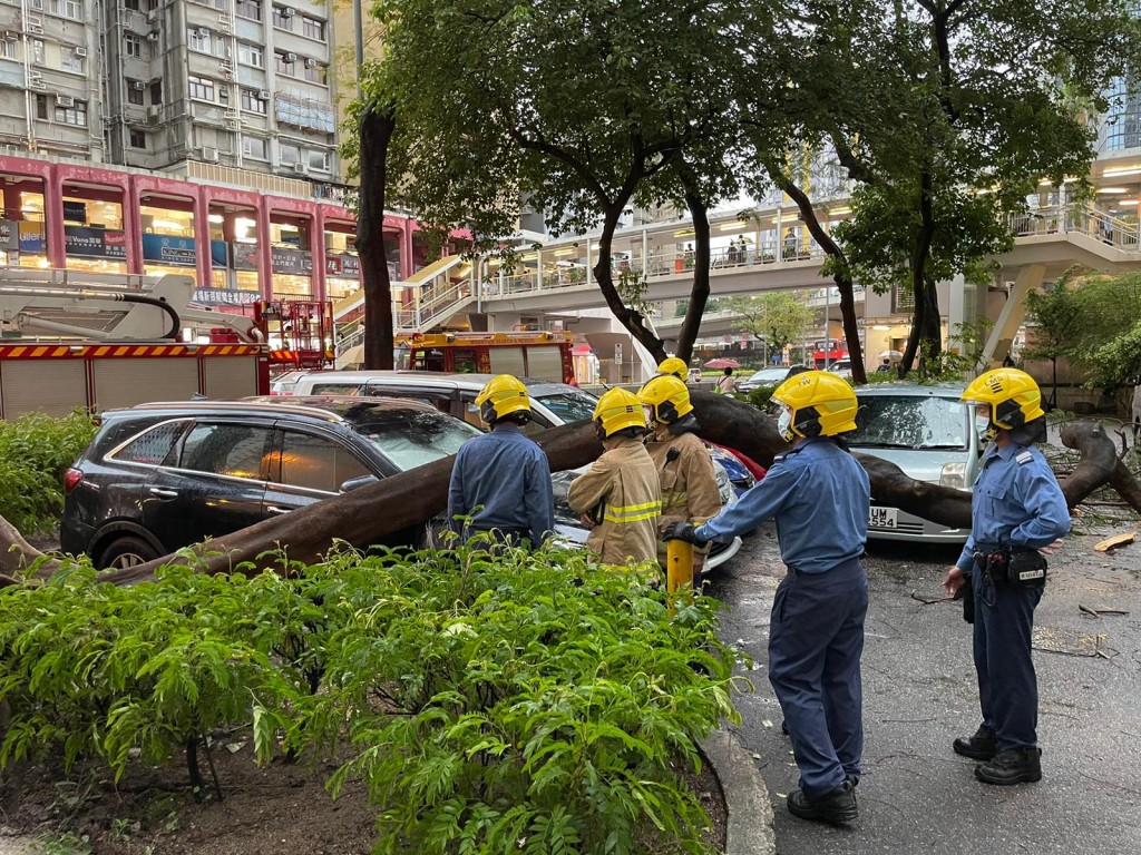 荃灣有大樹倒塌擊中停泊私家車。