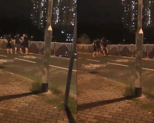 將軍澳一名男子早前遭4漢圍毆。 網民Teresa Ng影片截圖