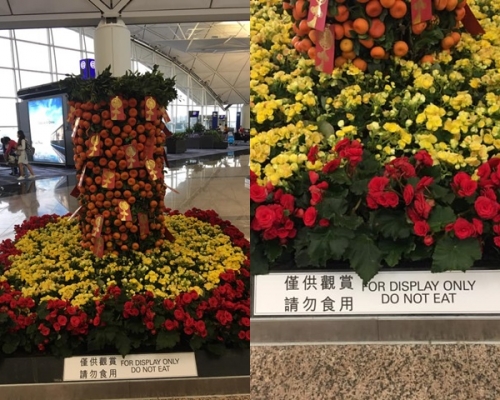 網民Beiron Kwong圖片