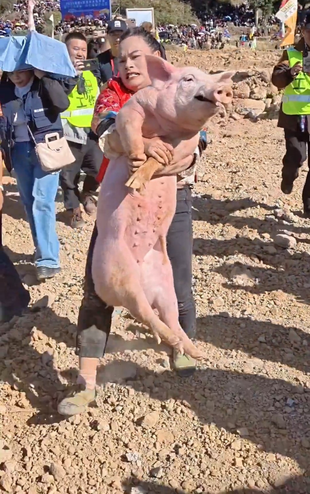 文鳳琴因頻頻抓豬成功而成為網紅。微博@《中國婦女報》 文鳳琴因頻頻抓豬成功而成為網紅。微博@《中國婦女報》