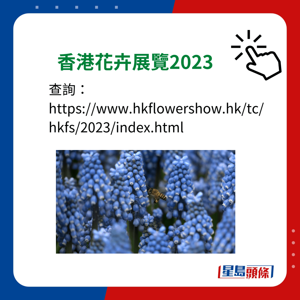 香港花卉展覽2023 info