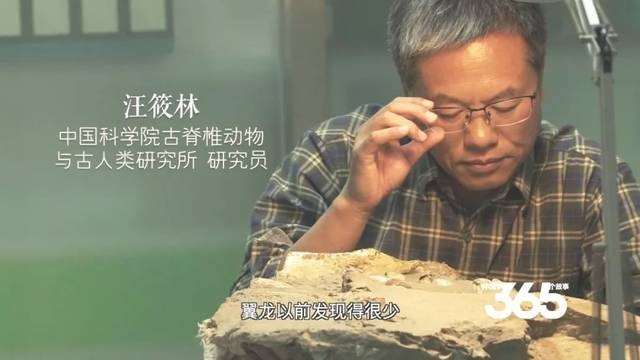 汪筱林是中國著名恐龍研究專家。