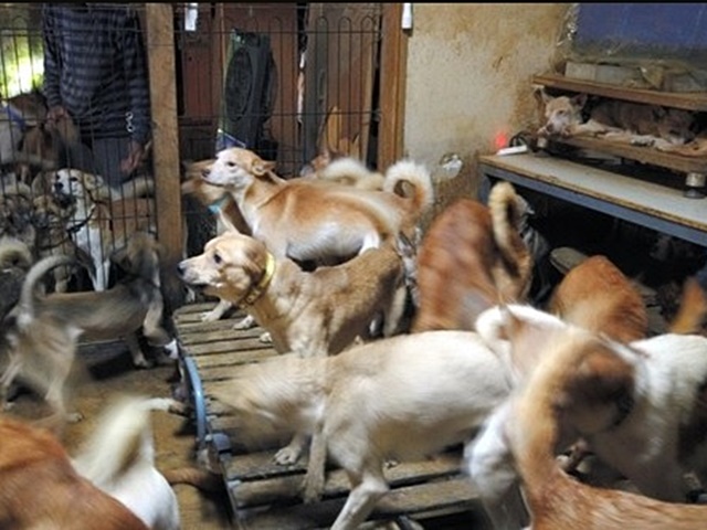 網圖