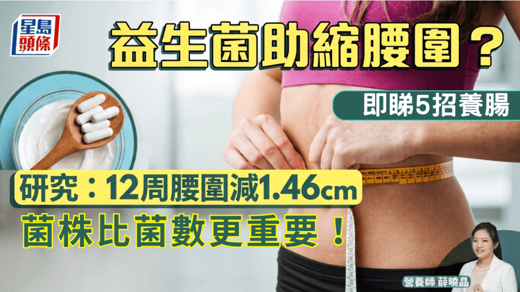益生菌助縮腰圍？研究證：12周腰圍減1.46cm 營養師揭菌株比菌數更重要