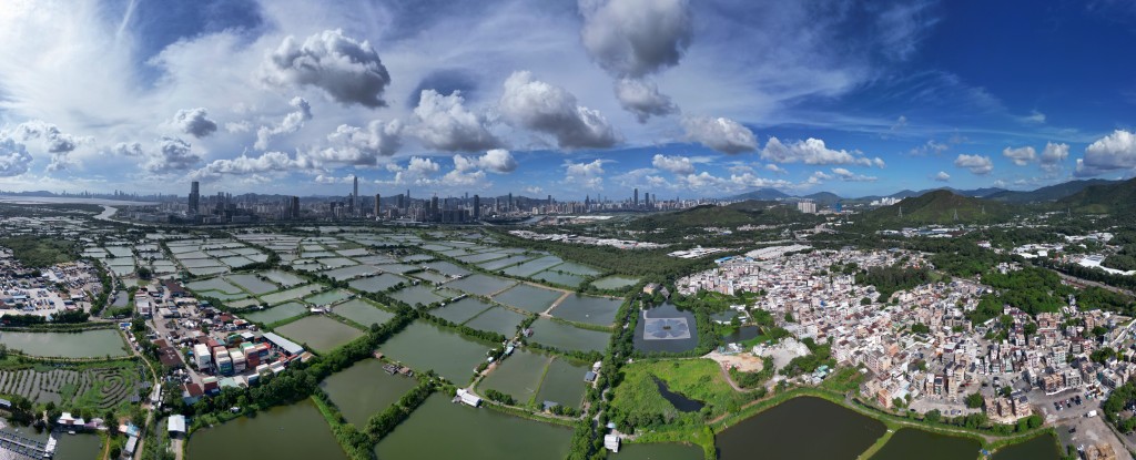 何珮玲解釋，根據專屬法例的建議，只要土地不屬於保育地帶，申請人便可採用「簡化規劃申請」程序。資料圖片