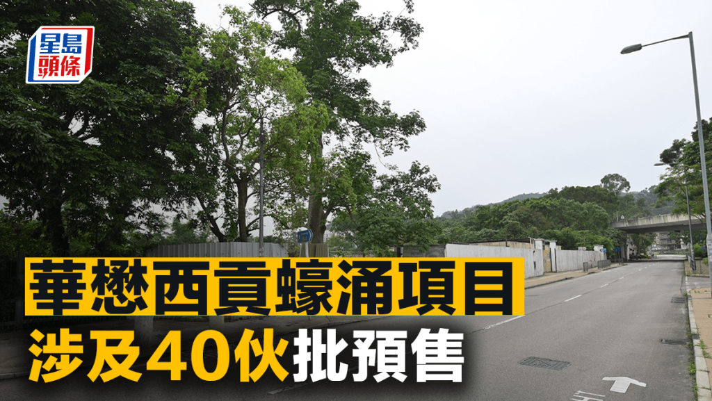 華懋西貢蠔涌項目 涉及40伙批預售 提供分層單位及洋房