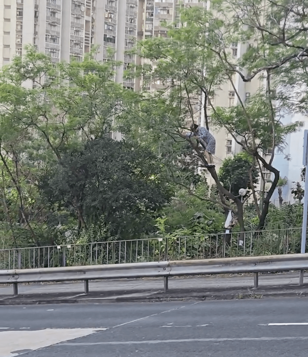 女子一度轉身嘗試爬下。Facebook 香港交通及突發事故報料區 影片截圖 女子一度轉身嘗試爬下。Facebook 香港交通及突發事故報料區 影片截圖