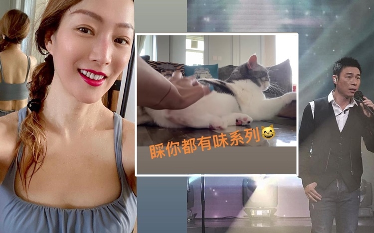 鄭秀文撩貓玩慘食檸檬。
