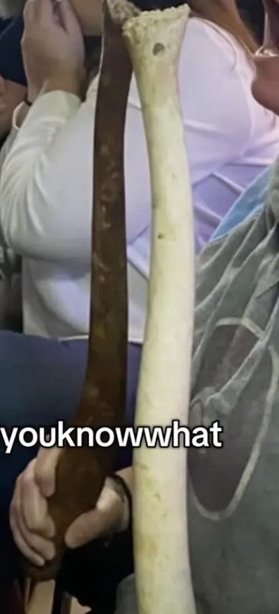 「海象陰莖骨」是餐廳珍藏多年的鎮店之寶。 fb / Mia Panella