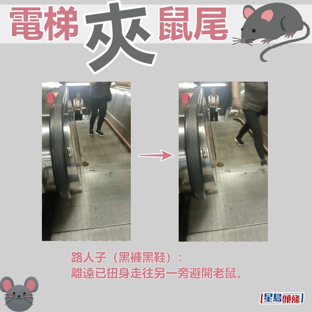​路人子（黑裤黑鞋）​：离远已扭身走往另一旁避开老鼠。fb「屯门友」截图
