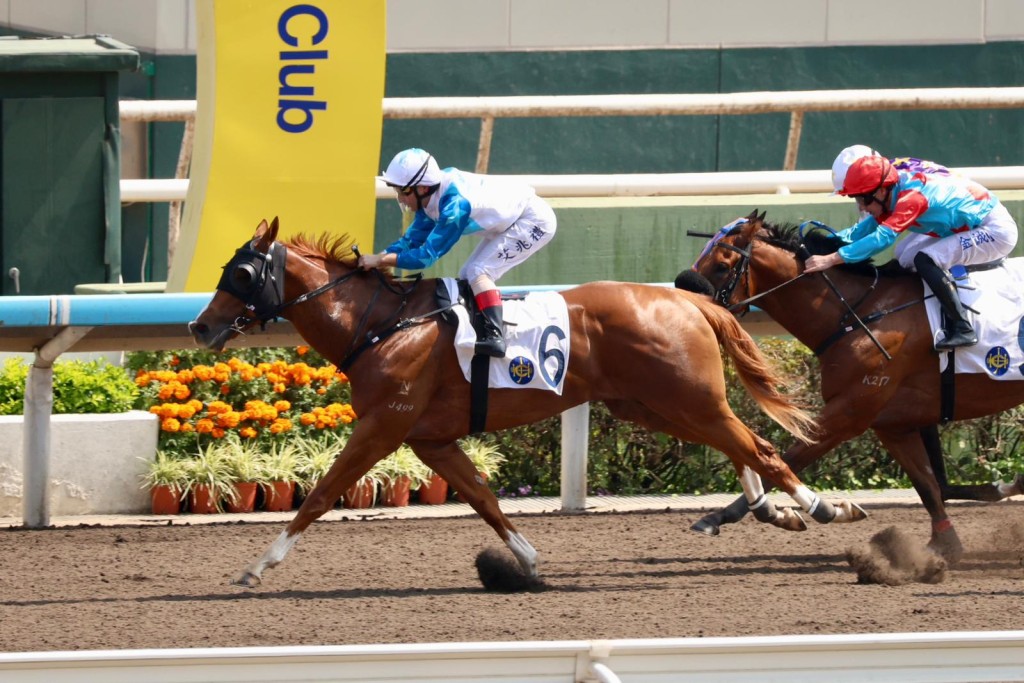 艾兆礼今日杀得性起，在第四场伙拍上场爆冷赢马的「金玉良言」再下一城，个人迅即连中三元，而且三场头马来自三个不同马房，可见其个人受支持。