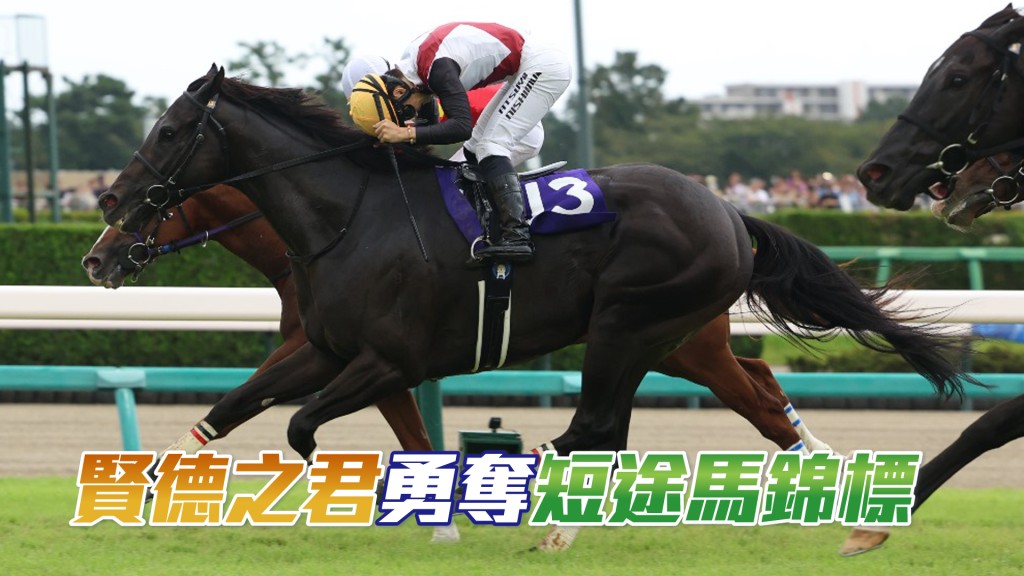 「賢德之君」在西村淳也胯下贏得今屆日本短途馬錦標。  Bit  Lau攝