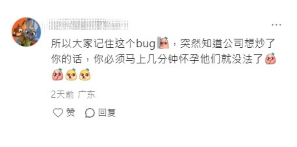 小紅書截圖 小紅書截圖