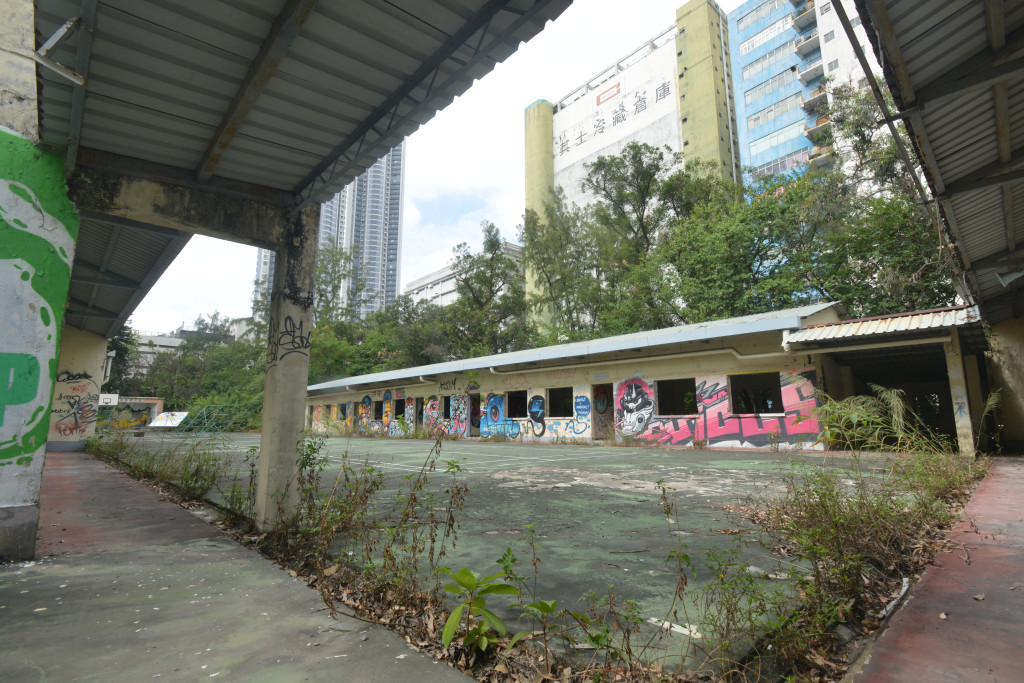 葵涌公立學校多處長出雜草。資料圖片